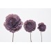 SOLA ROSE COLORS 2.4" (16" stem) Lilac-  CLOSE OUT !!!!